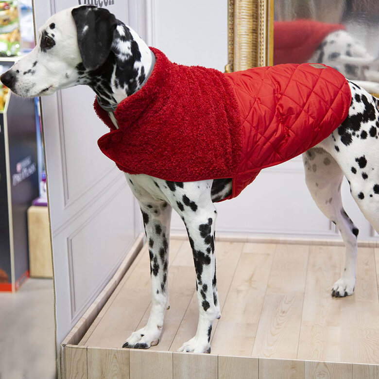 Outech Bi-Texture Abrigo Rojo para perros, , large image number null